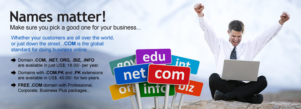 Domain Name Registration